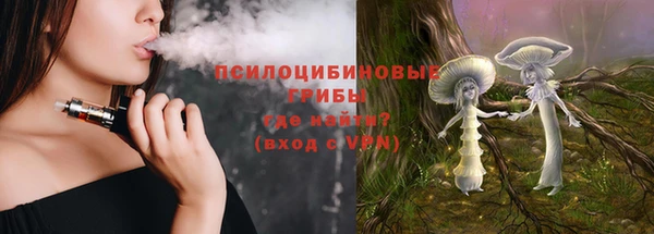 индика Семёнов