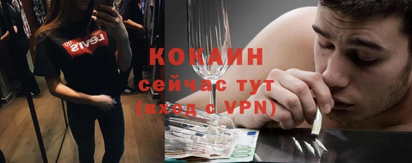 apvp Алексин