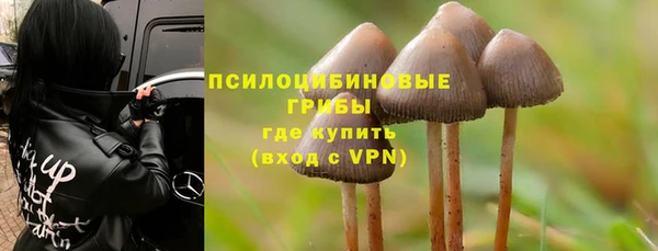 бутират Алзамай