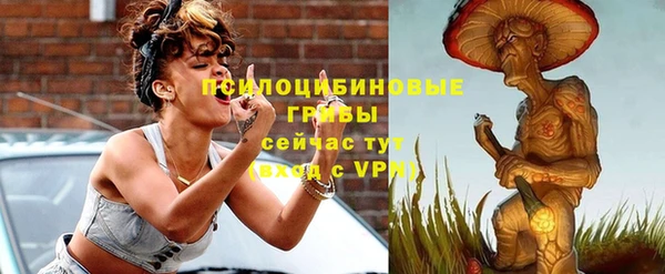 стафф Алексеевка