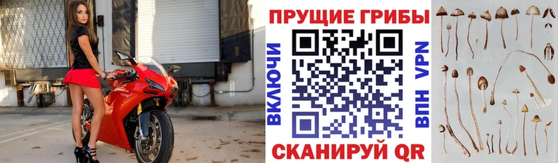 KRAKEN ТОР  Еманжелинск  Галлюциногенные грибы GOLDEN TEACHER  наркота 